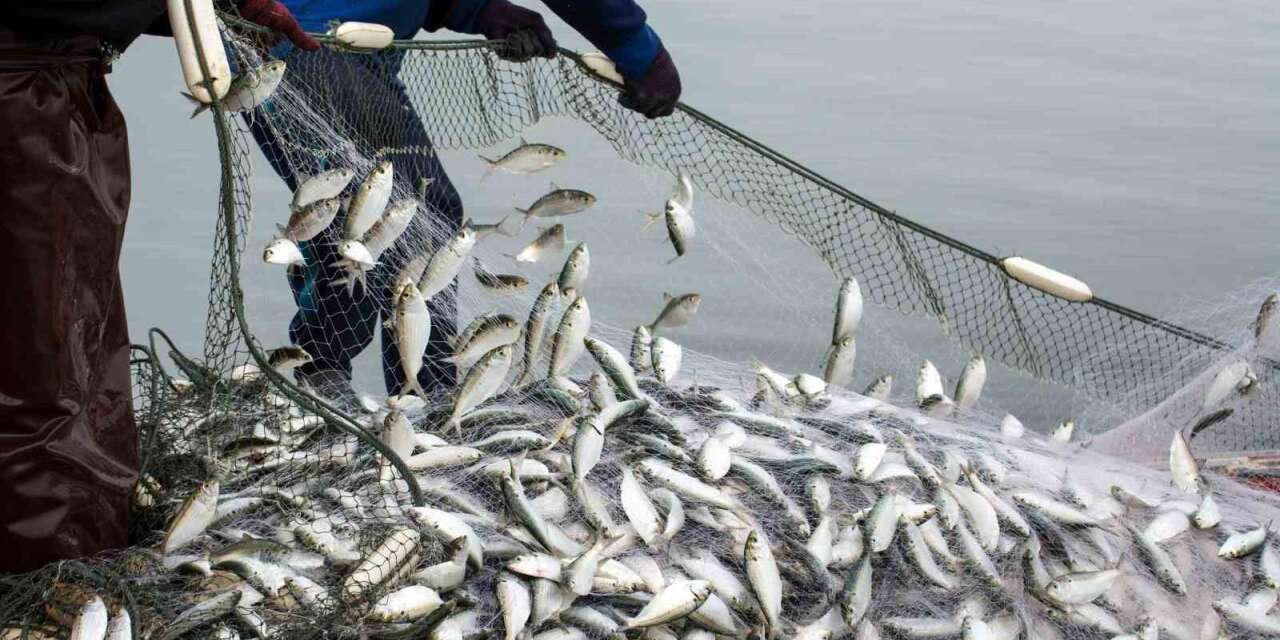 Muğla’nın ihracatı Eylül’de yükselişini sürdürdü