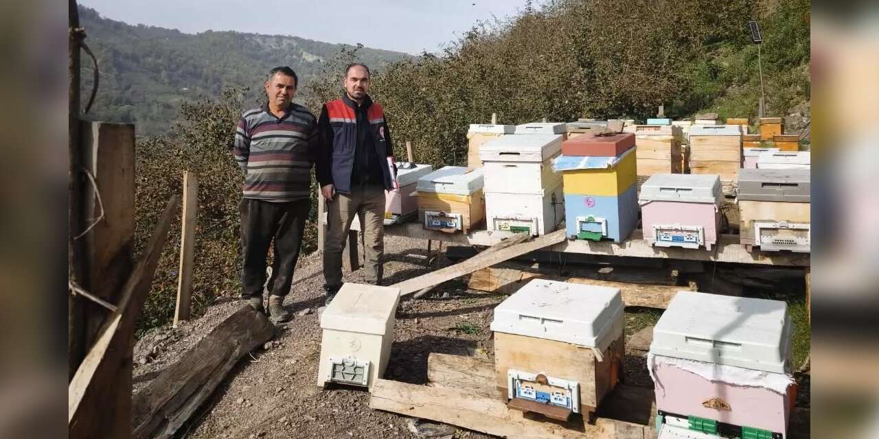 Düzce’de 4 köyde arılı kovan sayımı yapıldı