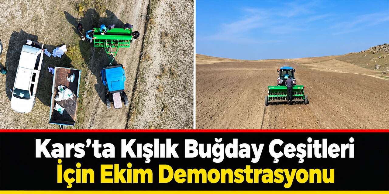 Kars’ta Kışlık Buğday Çeşitleri İçin Ekim Demonstrasyonu