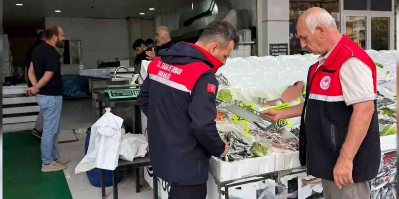 Adıyaman’da su ürünleri satış noktalarına denetim