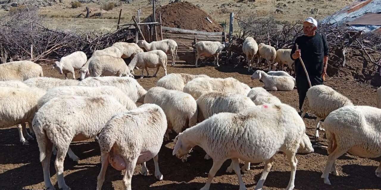 Bolu’da ORKÖY kredileri yüzleri güldürdü