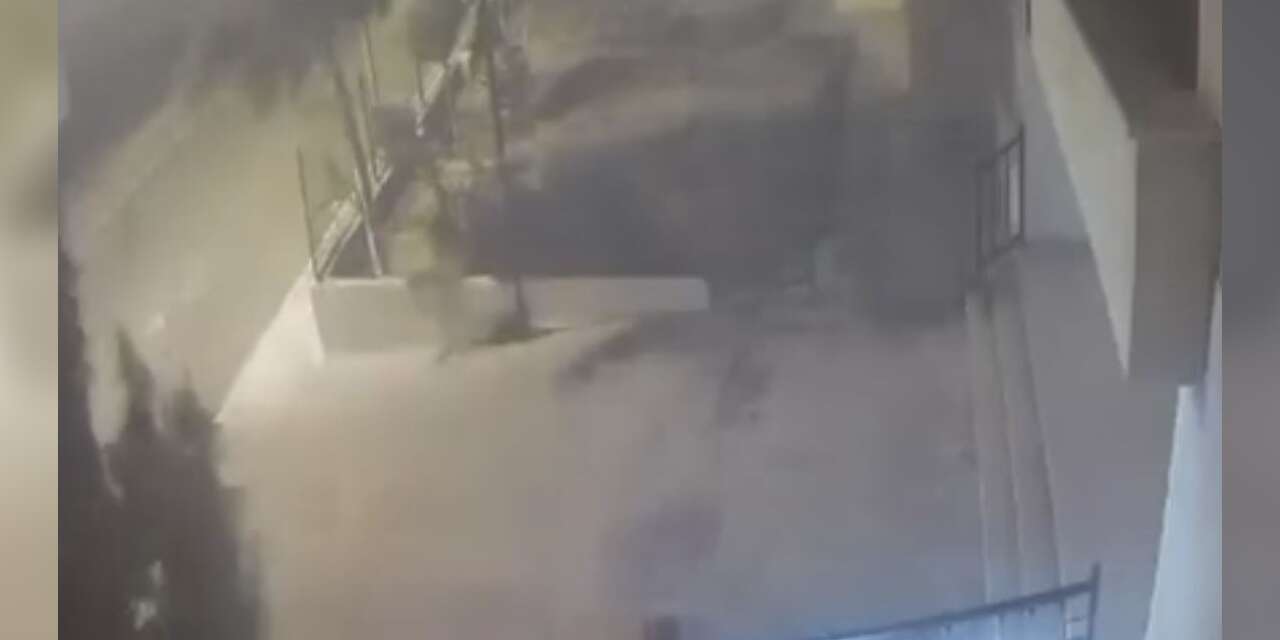 Mardin’de devrilen ağaçtan 10 saniyeyle kurtuldu: O anlar kamerada