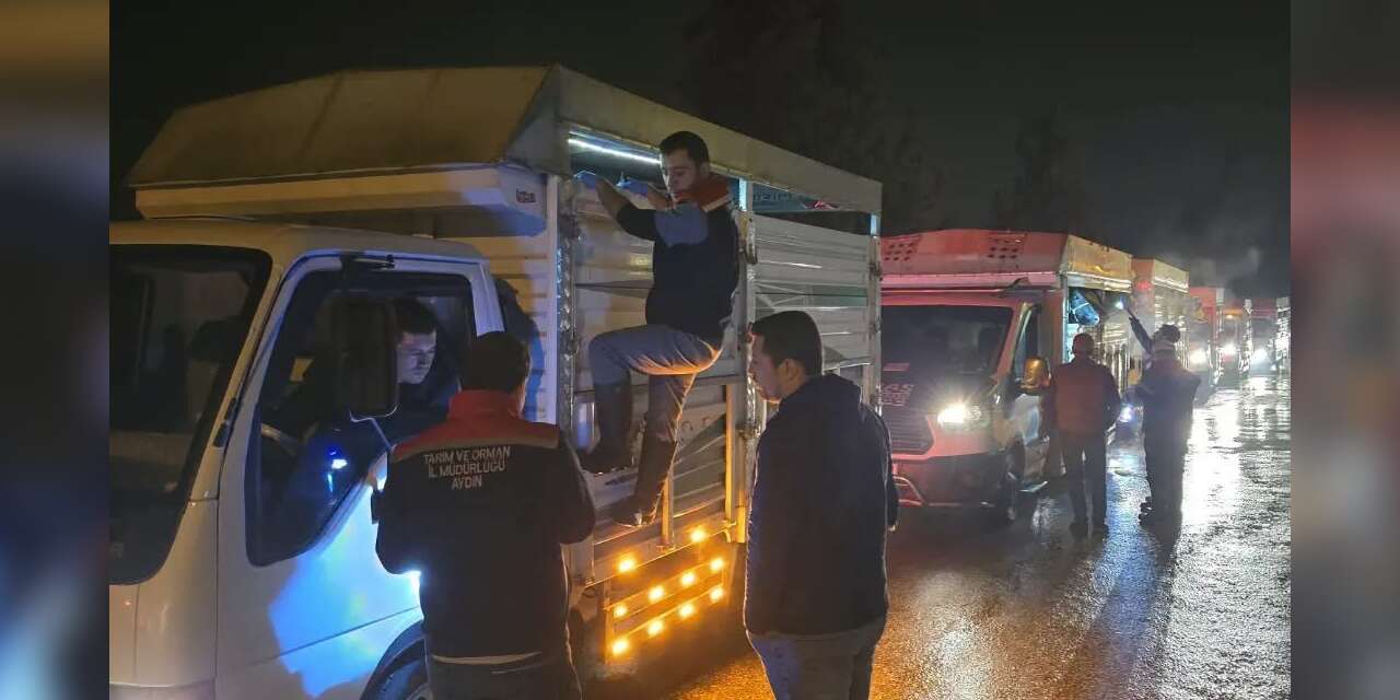 Aydın’da hayvan pazarlarında sıkı denetim