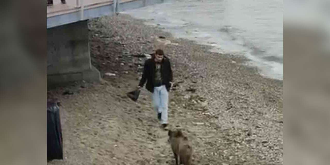 Bursa’da aç kalan domuz Mudanya sahiline indi
