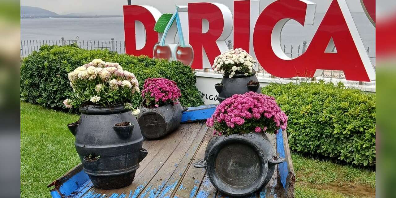 Darıca’da yeşil alanlar mevsimlik çiçeklerle renkleniyor