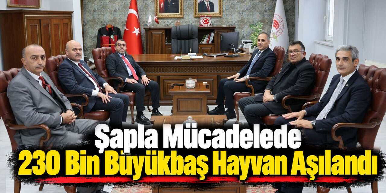 Kars’ta Şapla Mücadelede 230 Bin Büyükbaş Hayvan Aşılandı