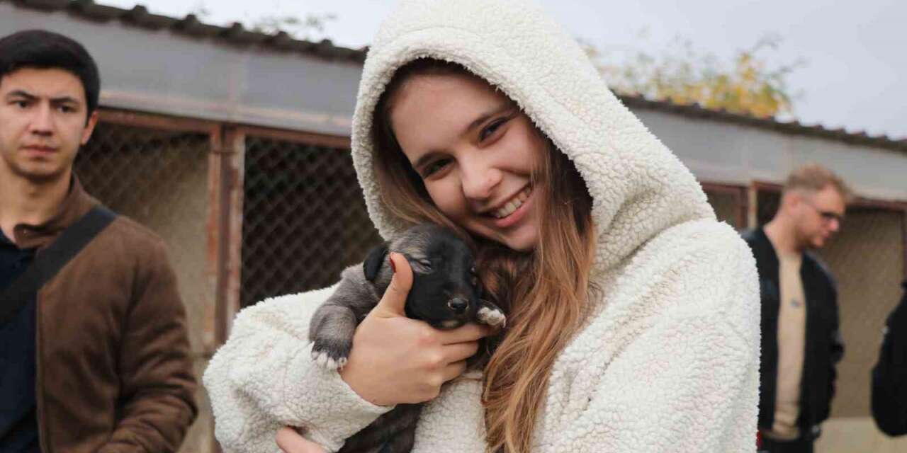 Yabancı öğrenciler ilk kez kangal gördü, hayranlığını gizleyemedi