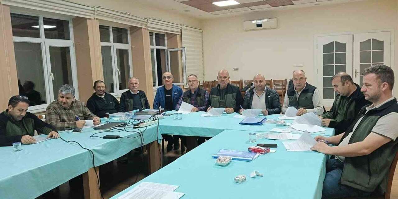 Kütahya ormanlarında 20 yıllık planlama tamamlandı