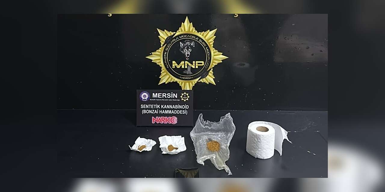 Mersin’de torbacı operasyonu: 2 tutuklama
