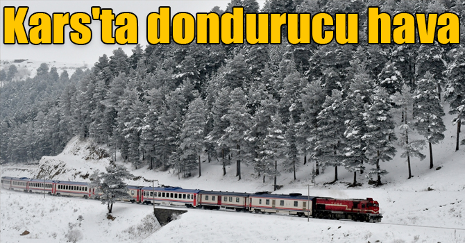 Kars'ta dondurucu hava