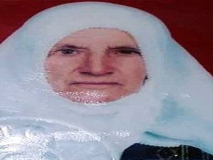 GÜNCELLEME - Elazığ'da kaybolan 88 yaşındaki kadın bulundu