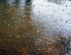 Kars’ta kar Iğdır’da yağmur bekleniyor