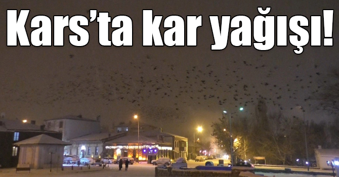 Kars’ta soğuk hava yerini kar yağışına bıraktı