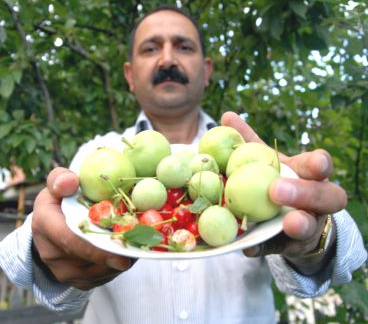 Sarıkamış'ta Organik Meyve Yetiştiriyor