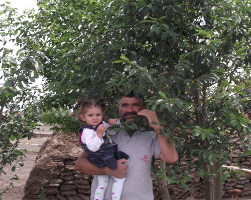 Selim'de Organik Meyve Yetiştiriliyor