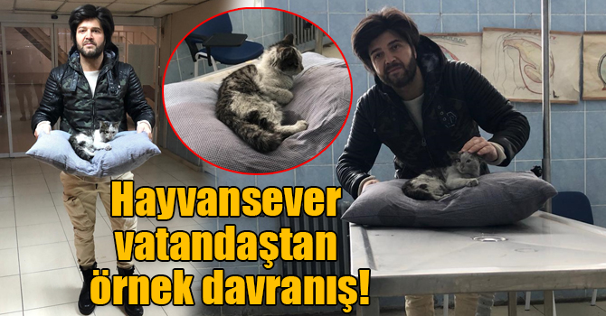 Hayvansever vatandaştan örnek davranış!