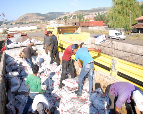 Sarıkamış’ta Kömür Dağıtımı Başladı