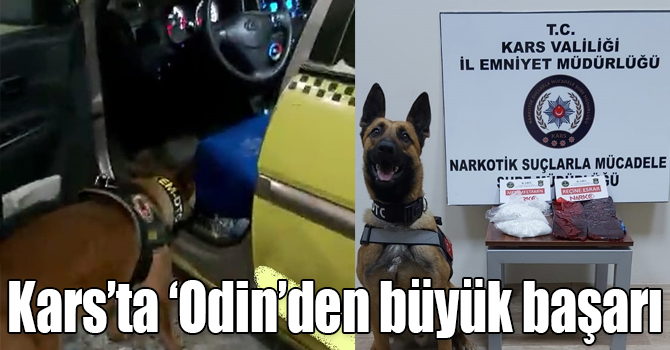 15 bin kişiyi zehirleyecek uyuşturucuları narkotik köpeği 'Odin' buldu