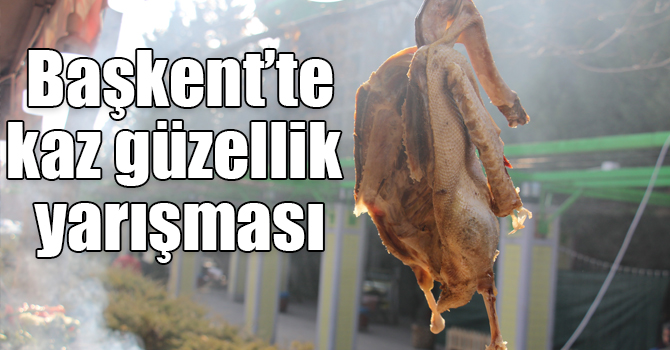 Başkent’te kaz güzellik yarışması