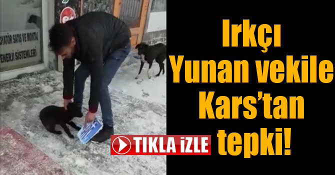 Irkçı Yunan vekile Kars’tan tepki!