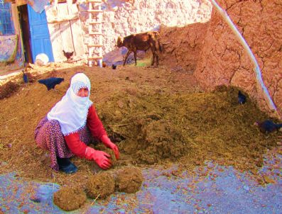 Sarıkamış'ta Moderin Tezek Üretimine Başlandı