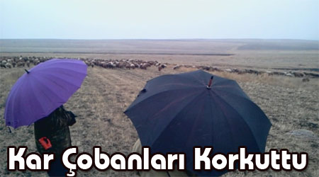 Kar çobanları korkuttu