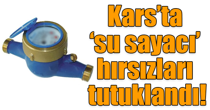 Kars’ta ‘su sayacı’ hırsızları tutuklandı!