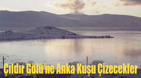 Çıldır Gölüne Anka Kuşu!