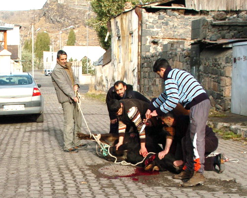 Kars’ta Kurban Kesimi Başladı