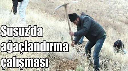 Susuz’da ağaçlandırma çalışması