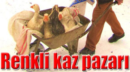 Kars’ın Selim İlçesi’nde renkli kaz pazarı