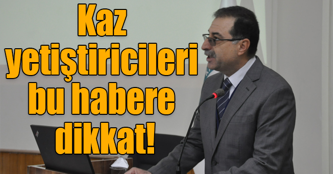 Kaz yetiştiricileri bu habere dikkat!