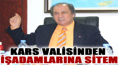 Kars Valisi Ahmet Kara, işadamlarına sitem etti