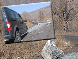 Kars'tan Yol Manzaraları