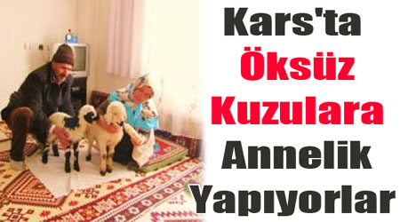 Selim'de İnsanlık Ölmemiş