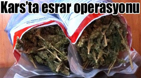 Kars’ta esrar operasyonu