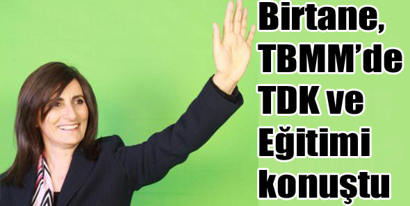 Birtane, TBMM’de TDK ve Eğitimi konuştu