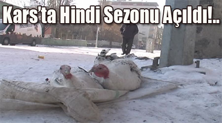 Kars'ta 2011-2012 Hindi Sezonu açıldı