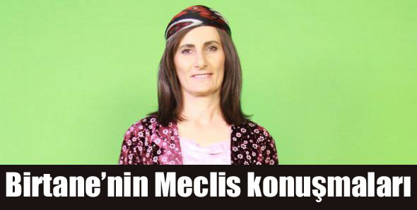 Birtane’nin Meclis konuşmaları