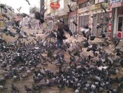 Kars'ta ne insan ne de kuş aç kalmaz!