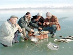 Çıldır'da buzda balık!