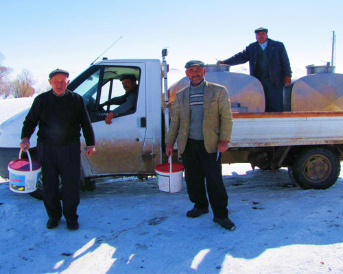 Kars'lı Besicilerden Sütün Ucuza Gitmesine Tepki