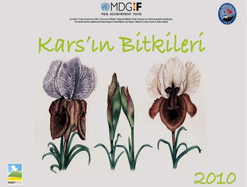 Kars’ın Bitkileri Takvimi
