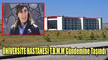Araştırma T.B.M.M Gündemine Taşındı
