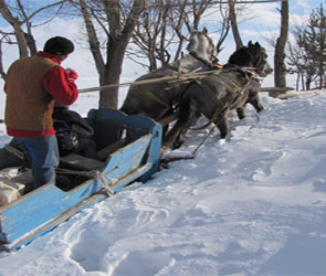 Kars'tan Kar Manzaraları
