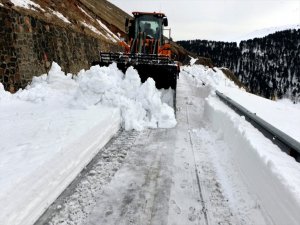 Çığ tehlikesi nedeniyle kapalı olan Ardahan-Ardanuç kara yolu ulaşıma açıldı
