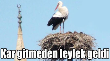 Kars'a Kar gitmeden leylek geldi