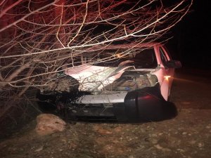 Doğanşehir'de hafif ticari araç ağaca çarptı: 2 yaralı