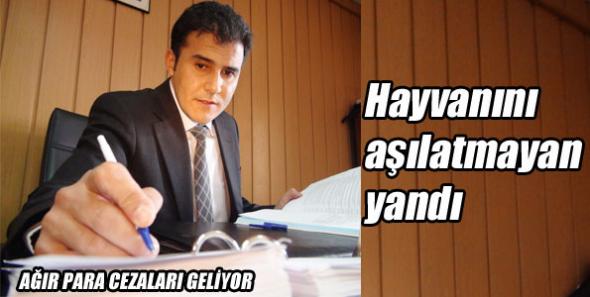 Hayvanını aşılatmayan yandı