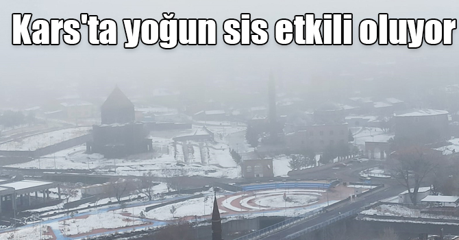 Kars'ta yoğun sis etkili oluyor